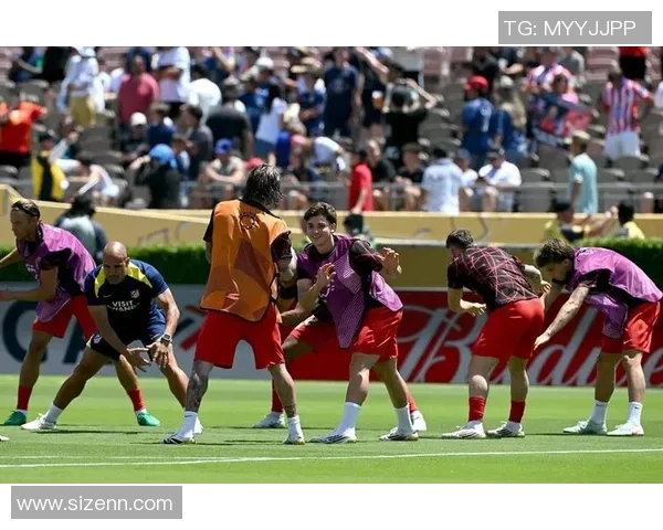 足球流氓的罕见现象探讨与社会影响分析之深度解读