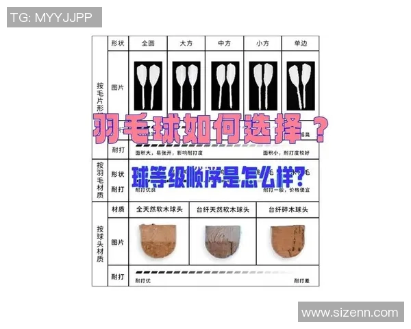 羽毛球赛事观众入场须知及注意事项全面指南